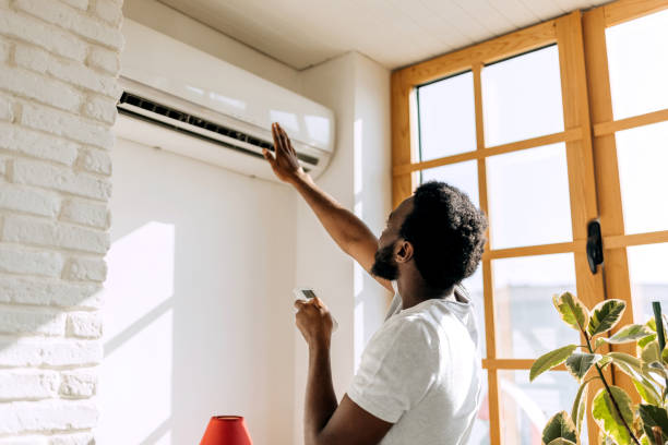 Best Ductless HVAC Repair  in Genoa City, WI